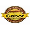 images_logo_cabot_100x100.e2autover-201710161115